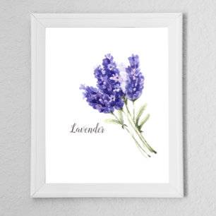 Póster Acuarela de flores de lavanda