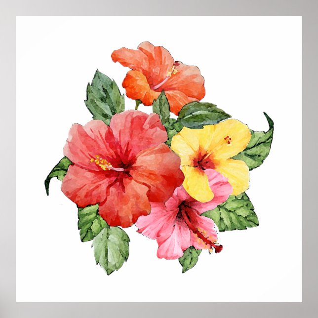 Póster acuarela de Hibiscus (Frente)