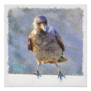Póster Acuarela de Jackdaw