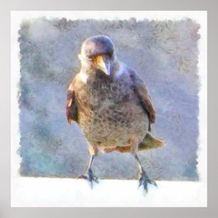 Póster Acuarela de Jackdaw