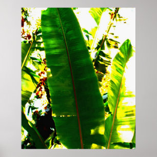 Póster Acuarela de la palma