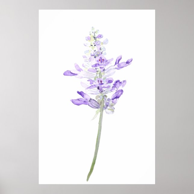 Póster acuarela de lavanda de hojas moradas (Frente)