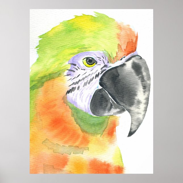 Póster acuarela de loros (Frente)