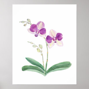 Póster acuarela de orquídea púrpura
