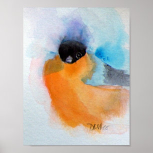 Póster Acuarela de pájaro de pollo con pecho naranja