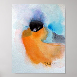 Póster Acuarela de pájaro de pollo con pecho naranja