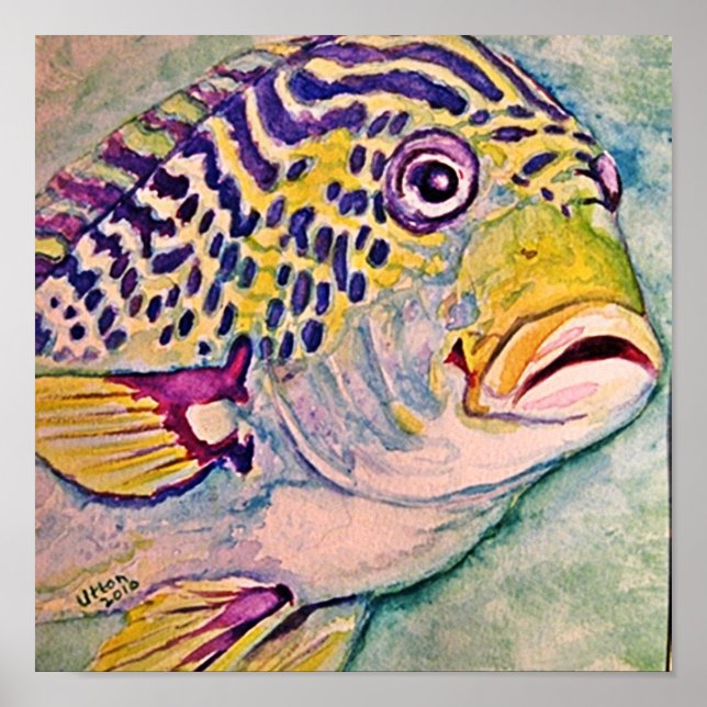 Póster acuarela de peces tropicales (Frente)