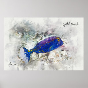 Póster Acuarela de peces tropicales hawaianos - Boxfish