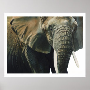 Póster Acuarela del animal de la fauna del "elefante"