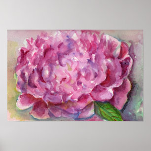 Póster Acuarela del Peony