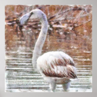Póster Acuarela Flamingo Exótico