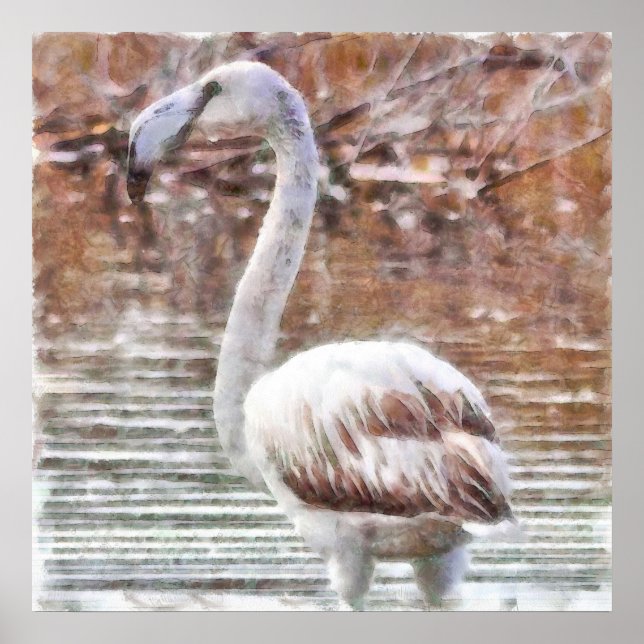 Póster Acuarela Flamingo Exótico (Frente)