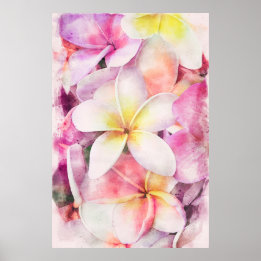 Póster Acuarela floral tropical plumeria de Hawái