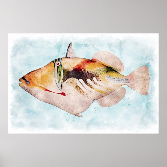 Póster Acuarela hawaiana de peces transzonales (Frente)