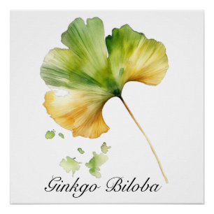 Póster Acuarela Hoja de Ginkgo Biloba Bienestar Botánico