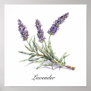 Póster Acuarela Lavanda Botánico Bienestar Personalizado