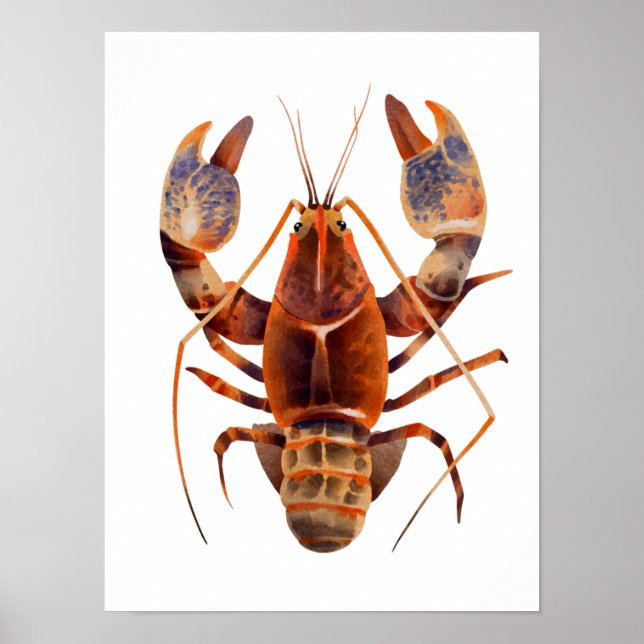 Póster Acuarela Lobster Crustaceancore (Frente)