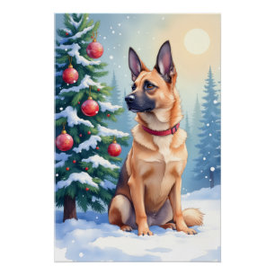 Póster Acuarela Malinois Belga Navidad Verde