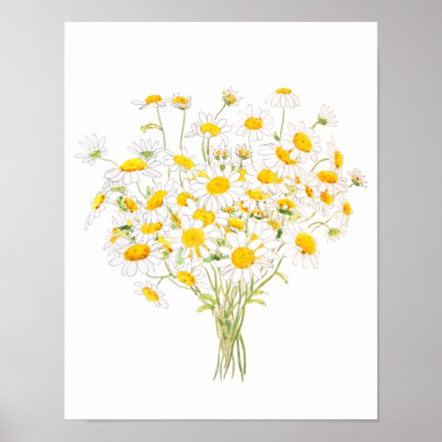 Póster acuarela margarita blanca y ramo de tinta (Frente)