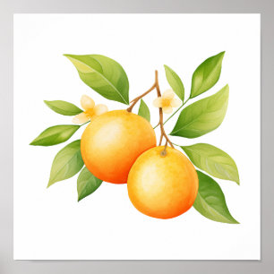 Póster Acuarela Naranja Con Flor