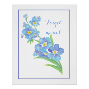 Póster Acuarela Olvidar-me-no flor Bonito azul floral