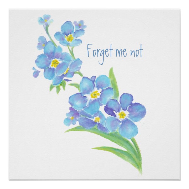 Póster Acuarela Olvidar-me-no flor Bonito azul floral (Anverso)