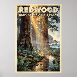 Póster Acuarela Parques Nacionales y Estatales de Redwood