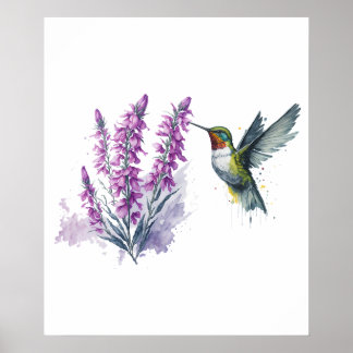 Póster Acuarela Penstemon Flor y colibrí