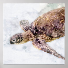 Póster Acuarela Realista De La Tortuga De Mar De Hawái