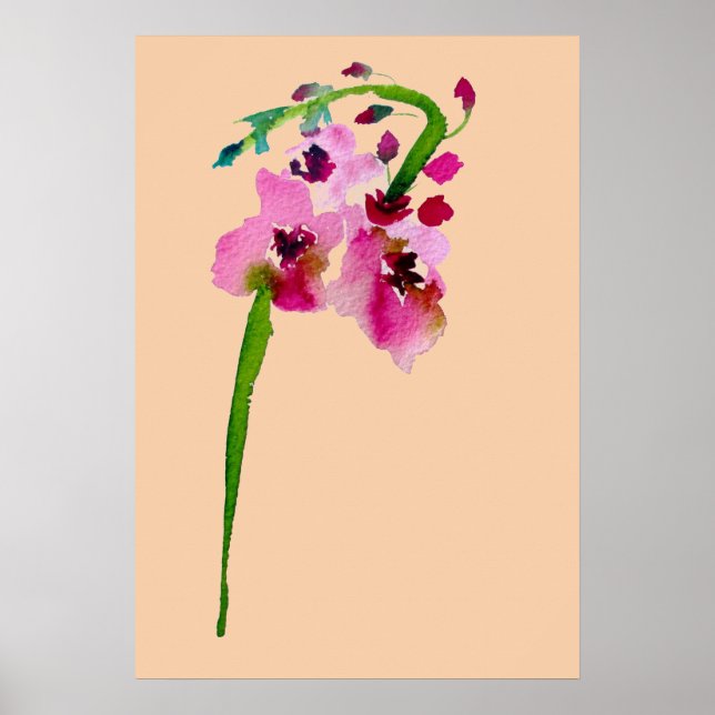 Póster acuarela rosa Flor de verbascum ruidosa (Frente)