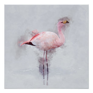 Póster Acuarela rosada del flamenco