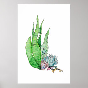 Póster Acuarela Suculentas Botánica Verdor