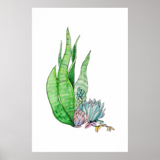 Póster Acuarela Suculentas Botánica Verdor