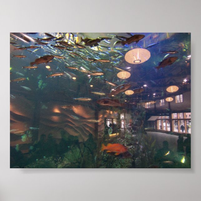 Póster Acuario de Seattle (Frente)