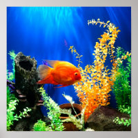 Acuario de tanques de peces