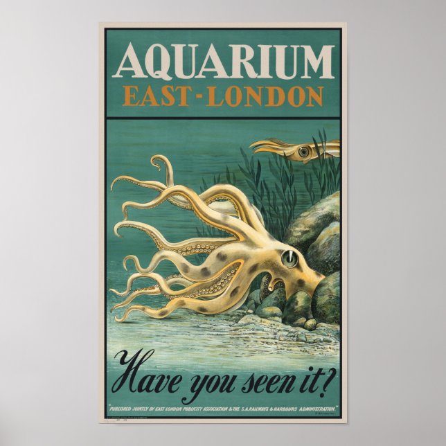 Póster Acuario, Londres Oriental- Octopus (Frente)