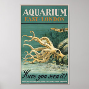 Póster Acuario, pulpo del este de Londres