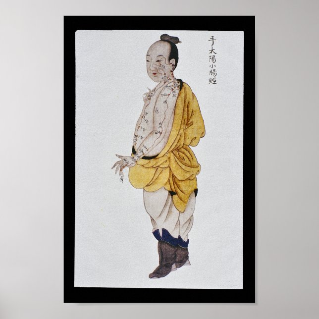 Póster Acupuncción Pequeña Meridiana Intestina Mano Taiya (Frente)