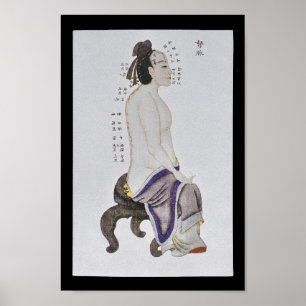 Póster Acupuncture Du Mai Meridian Channel