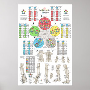 Póster Acupuntura de los Cinco Elementos Francesa