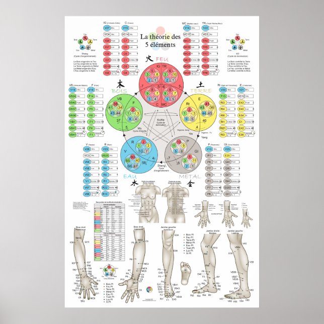 Póster Acupuntura de los Cinco Elementos Francesa (Frente)