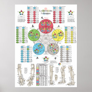 Póster Acupuntura de los Cinco Elementos Franceses