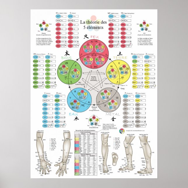 Póster Acupuntura de los Cinco Elementos Franceses (Frente)