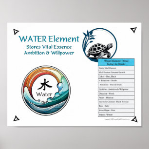Póster Acupuntura del Elemento Agua