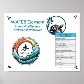 Póster Acupuntura del Elemento Agua