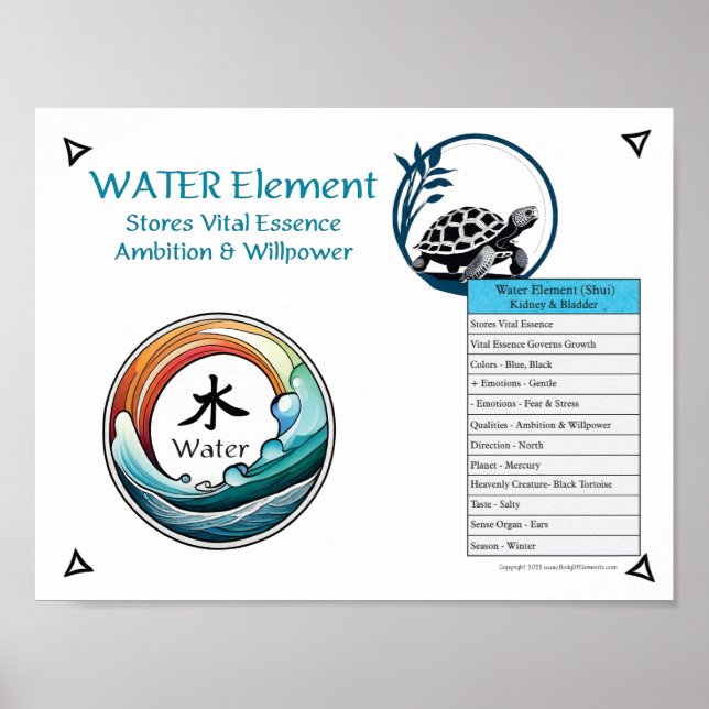 Póster Acupuntura del Elemento Agua (Frente)