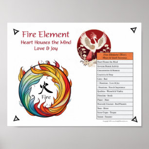 Póster Acupuntura del Elemento Fuego