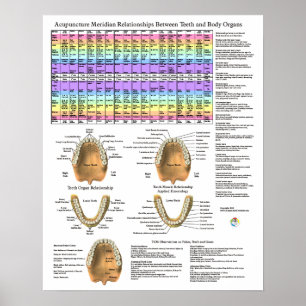 Póster Acupuntura Dental Dientes Meridianos