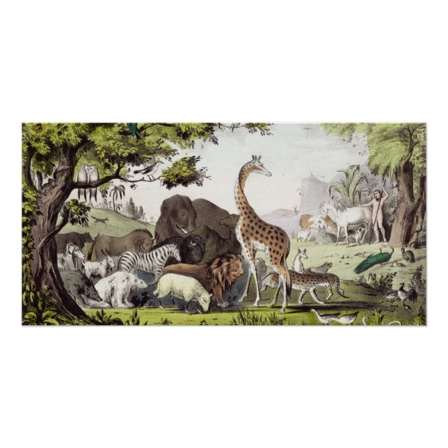 Póster Adam nombra a las criaturas (Anverso)