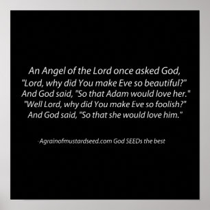 Póster Adam y Eve Fun Christian